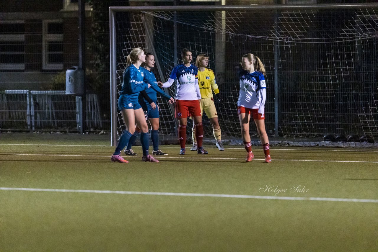 Bild 344 - F SC Alstertal-Langenhorn - Hamburger SV 3 : Ergebnis: 2:2